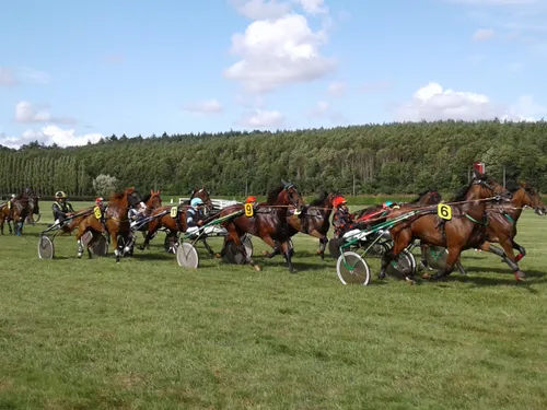 Hippisme : nos préférés pour ce samedi 7 mai